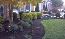 landscaping-1