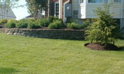 stonewalls-1